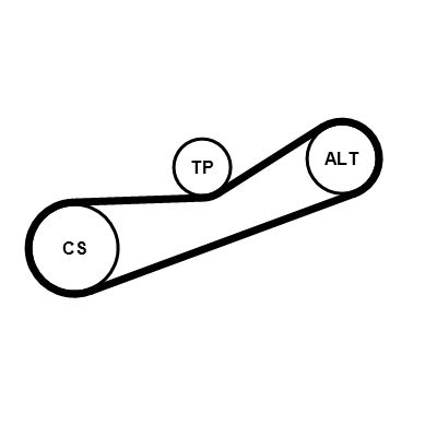 SET CUREA TRANSMISIE CU CANELURI