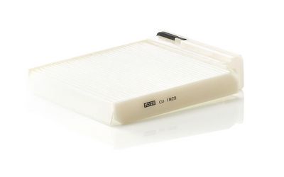 Filter, Innenraumluft