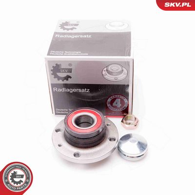 SET RULMENT ROATA ESEN SKV 29SKV038