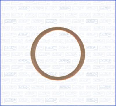 Seal Ring, oil drain plug 21010400