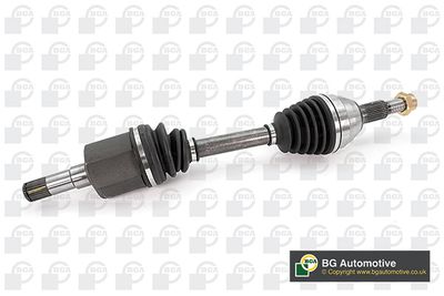 PLANETARA BGA DS9530L