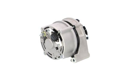 GENERATOR / ALTERNATOR REMANTE 011003000025R 39