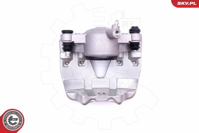 Brake Caliper 44SKV211