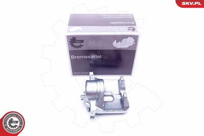 Brake Caliper 42SKV691