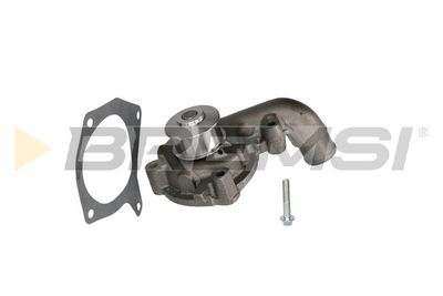 Водяной насос, охлаждение двигателя BREMSI WP0087 для FORD ORION