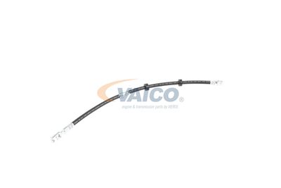 FURTUN FRANA VAICO V104226 47