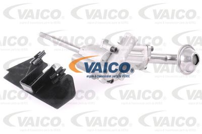 VAICO V10-0137-1 Масляный насос  для VW GOLF (Фольцваген Голф)