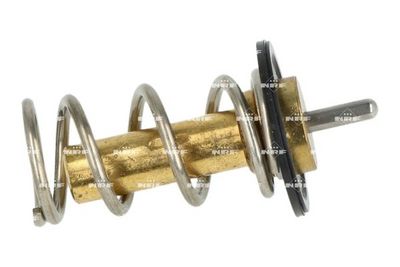 TERMOSTAT LICHID RACIRE NRF 725069 3