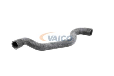 KüHLERSCHLAUCH VAICO V102730 33