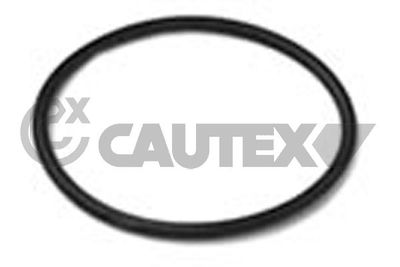 Прокладка, термостат CAUTEX 952036 для FORD SIERRA