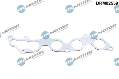 GARNITURA GALERIE EVACUARE