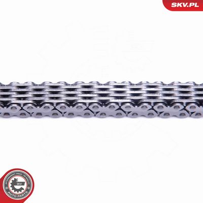 CHIT LANT DE DISTRIBUTIE ESEN SKV 21SKV151 2