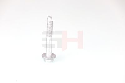 SURUB CAPAT DE AX GH GH392528 46