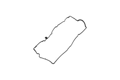 GARNITURA CAPAC SUPAPE