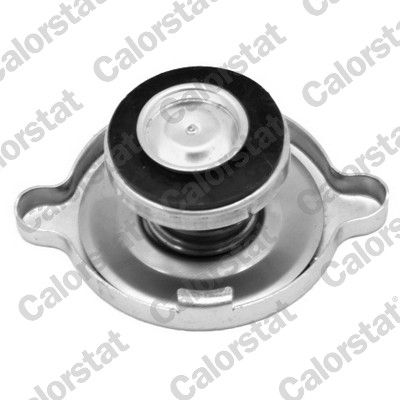 BUSON RADIATOR CALORSTAT by Vernet RC0072 1