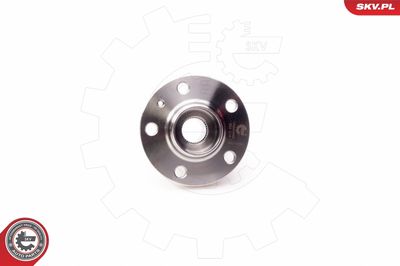 Wheel Bearing Kit 29SKV005