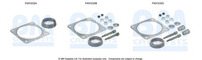 Zestaw montażowy, katalizator BM CATALYSTS FK91233