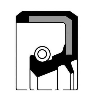 SIMERING TRANSMISIE AUTOMATA PAYEN NK133