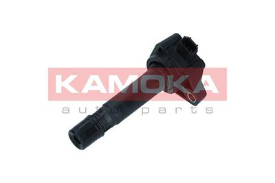 Ignition Coil 7120039