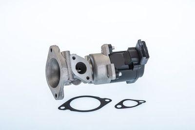 SUPAPA EGR BTS Turbo A100067BL
