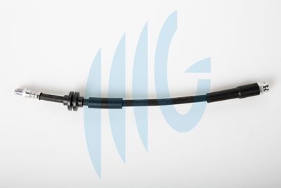 Тормозной шланг RICAMBIFLEX GM 02120233 для LANCIA YPSILON
