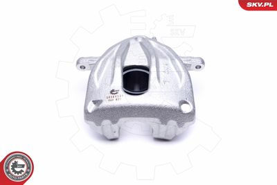 Brake Caliper 50SKV531