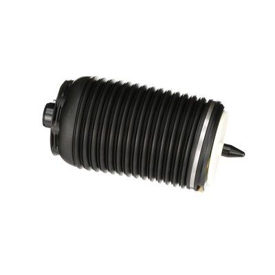 ARC PNEUMATIC DIRECTIE Arnott A3294 53