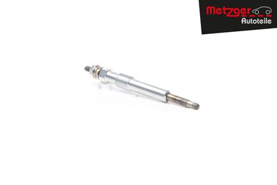 BUJIE INCANDESCENTA METZGER AUTOTEILE H1794 23