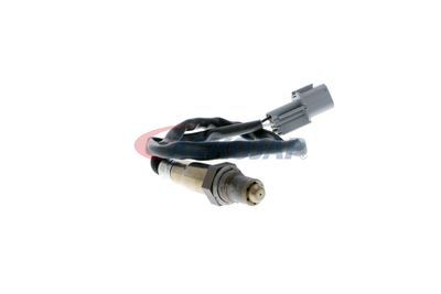 SONDA LAMBDA ACKOJA A53760007 51