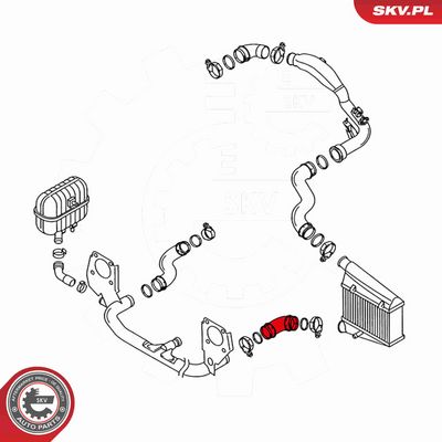 FURTUN EAR SUPRAALIMENTARE ESEN SKV 24SKV117 2