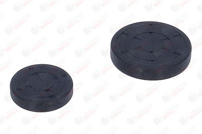 CHIT LANT DE DISTRIBUTIE BIRTH 6501 6