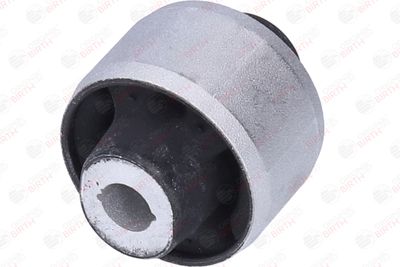 SUPORT TRAPEZ BIRTH 2012 2