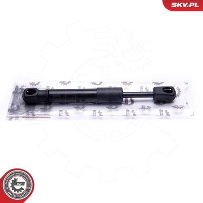 Dujinė spyruoklė, bagažinė