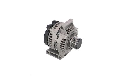 GENERATOR / ALTERNATOR REMANTE 011003000675R 51