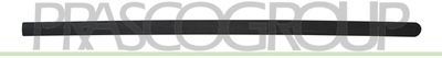 ELEMENTE DECORATIVE/PROTECTIE PORTIERA