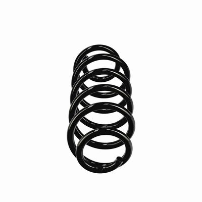 ARC SPIRAL EIBACH R11107 1