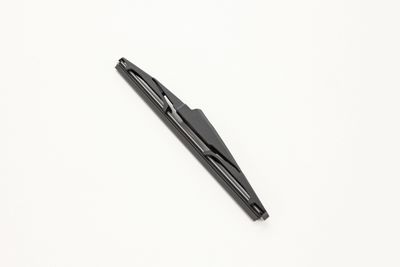 WISCHBLATT CONTINENTAL 2800011536180 5