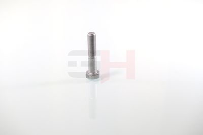 SURUB CAPAT DE AX GH GH392360 24