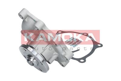 Water Pump, engine cooling T0169