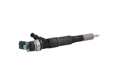 INJECTOR REMANTE 002003001184R 38