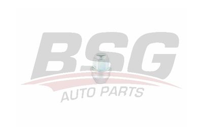 BSG BSG 30-230-049 Болт кріплення колеса для TESLA (Тесла)