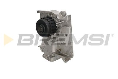 Водяной насос, охлаждение двигателя BREMSI WP0453 для ASIA MOTORS ROCSTA