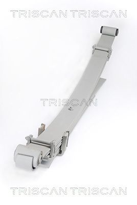 TRISCAN Federnpaket