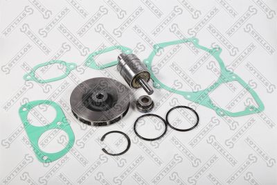 STELLOX 81-29919-SX STELLOX 81-29919-SX