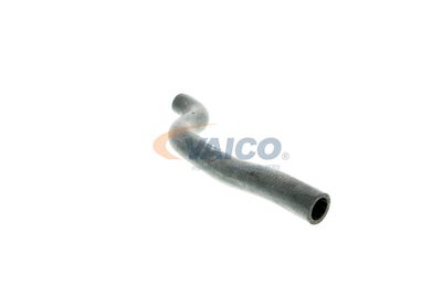 KüHLERSCHLAUCH VAICO V100388 44