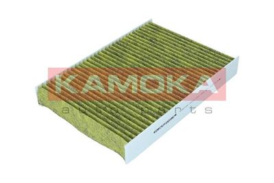 Filter, cabin air 6080165