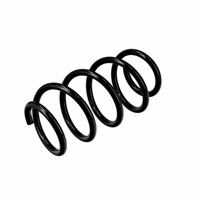 ARC SPIRAL EIBACH R10582 16