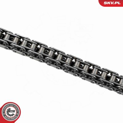 CHIT LANT DE DISTRIBUTIE ESEN SKV 21SKV136 3