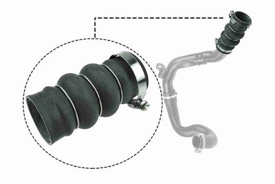 FURTUN EAR SUPRAALIMENTARE