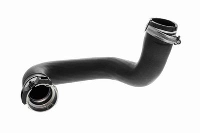 FURTUN EAR SUPRAALIMENTARE